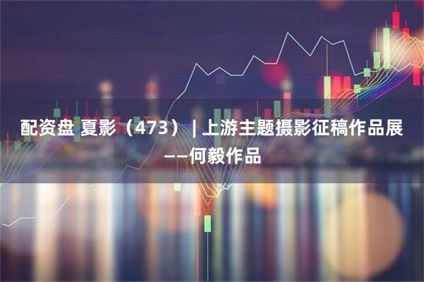 配资盘 夏影（473） | 上游主题摄影征稿作品展——何毅作品