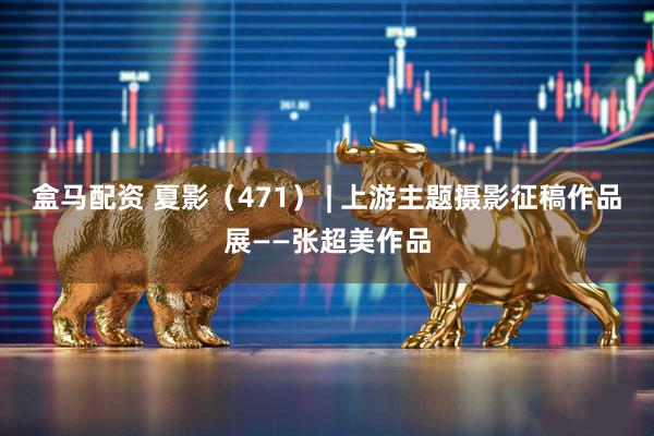 盒马配资 夏影（471） | 上游主题摄影征稿作品展——张超美作品