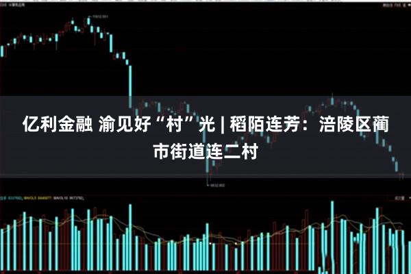 亿利金融 渝见好“村”光 | 稻陌连芳：涪陵区蔺市街道连二村